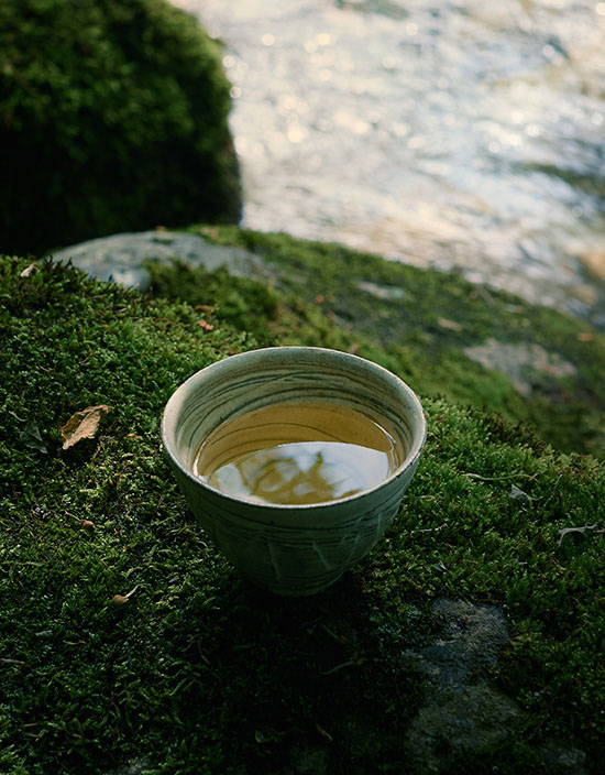 お茶と風景